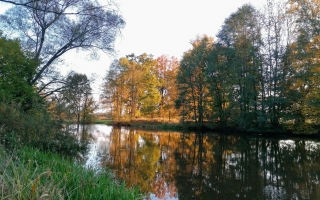 IMG_20201024_171102
