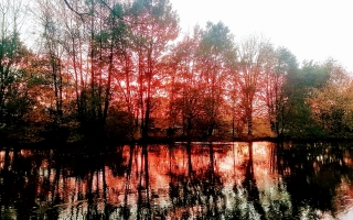 podzim-ruda